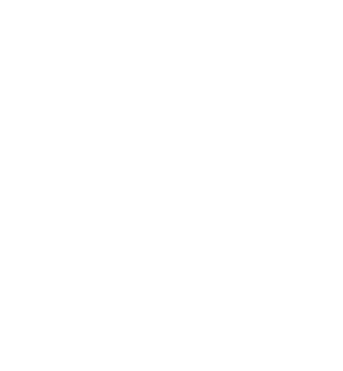 Les Vieilles Soupapes 77